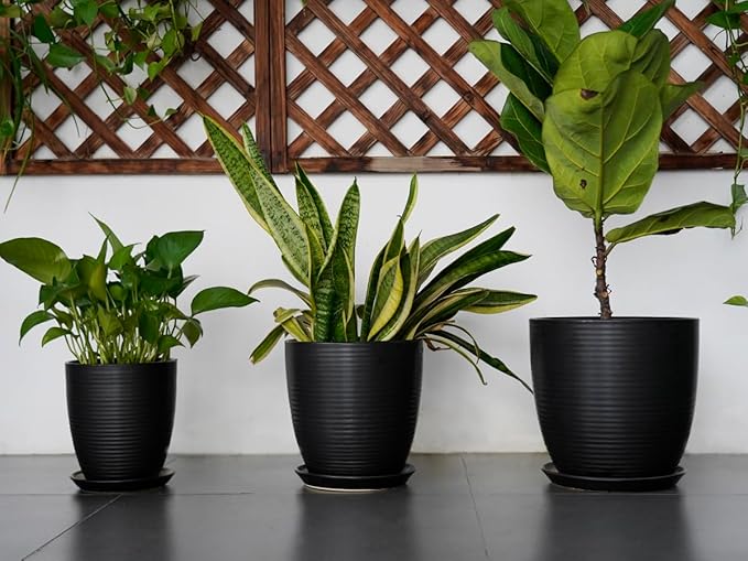 12 Inch Pots for Plants - Ceramic Planter Pot, Large Flower Pot with Drainage Hole and Saucer for Home Patio Garden Office Indoor Outdoor, Black-VerdiqueGarden