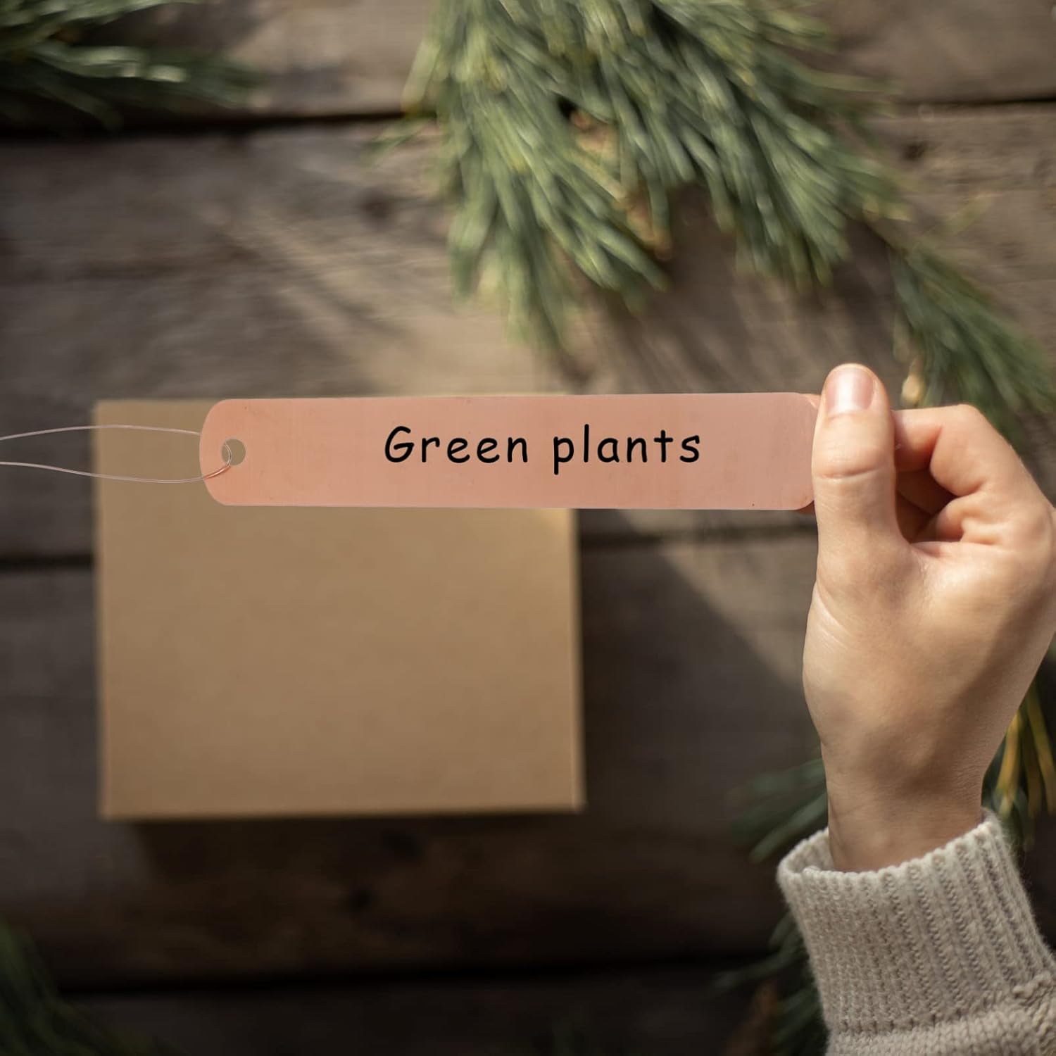 KESYOO Copper Plant Tags Reusable Garden Labels Hanging Metal Plant Tag with Wires for Flower Bed Balcony Pots Planters - 4.72 X 0.78 Inches-VerdiqueGarden