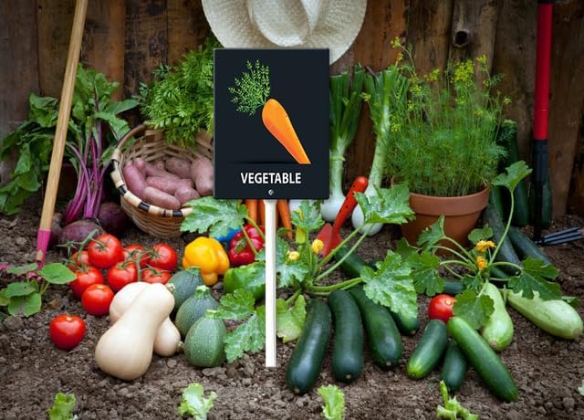 Eveokoki Aluminum Seed & Plant Labels - Plant Markes for Seedlings-Plant Tags for Pots - Garden Signs for Vegetable - Durable Markers for Plants Outdoor Waterproof - Garden Decor for Farmhouse-VerdiqueGarden