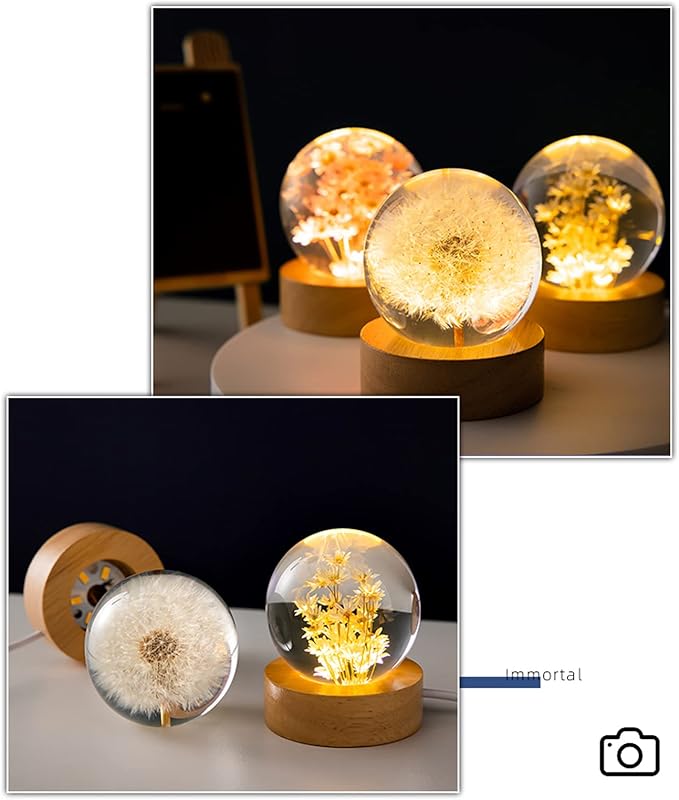 Flower Crystal Ball Night Light,2.4 inch Glass Ball Night Lamp with Woodern Base (Dandelion)-VerdiqueGarden
