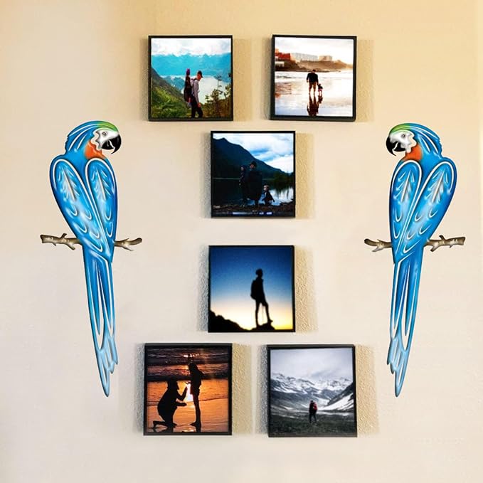 EiGreen Metal Bird Wall Art Decor 3D Outdoor parrot Sculpture, Hanging Decor Metal Wall Decor Suitable for Gardens Fence Patio Living Room Bedroom Yard Decor-VerdiqueGarden