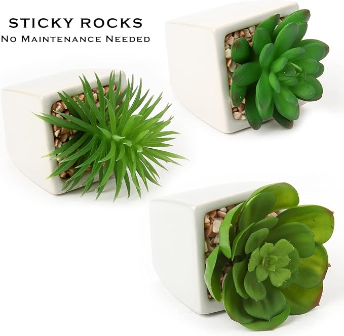 Hollyone Succulents Plants Artificial 3Pcs Small Fake Succulents in Pots Faux Plastic Potted Plants with White Ceramic Pot for Home Decor Classroom Office Bathroom Shelf Indoor & Outdoor Decorations-VerdiqueGarden