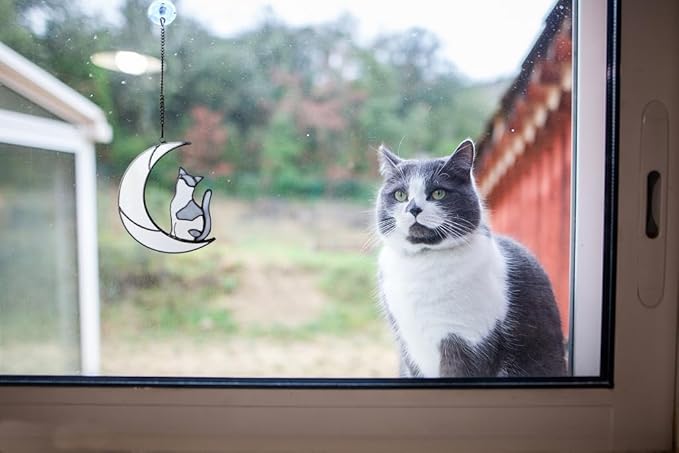 Gray and White Cat Memorial Gifts Loss of Cat British Shorthair Stained Glass Cat Suncatcher Cat Died Sympathy Gifts for Cat Lovers Cat Loss Sympathy Gift-VerdiqueGarden