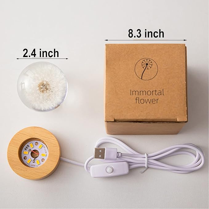 Flower Crystal Ball Night Light, 2.4 inch Glass Ball Night Lamp with Woodern Base (Yellow Daisy)-VerdiqueGarden