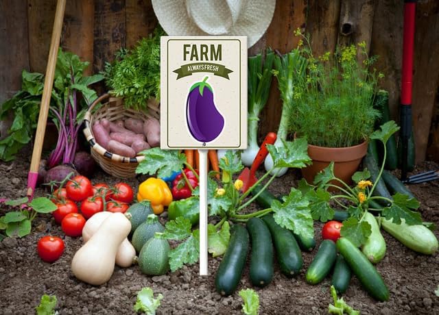 Eveokoki Aluminum Seed & Plant Labels - Plant Markes for Seedlings-Plant Tags for Pots - Garden Signs for Vegetable - Durable Markers for Plants Outdoor Waterproof - Garden Decor for Farmhouse-VerdiqueGarden