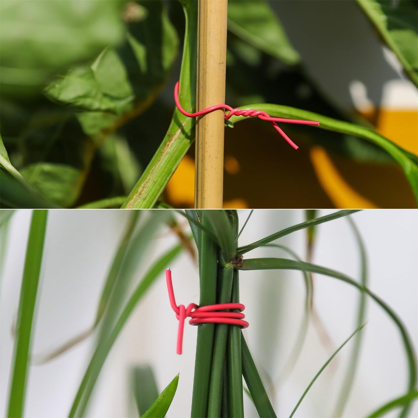 200 Pcs 6 inch Garden Twist Tie, Round Plastic Twist Ties for Plants, Vines and Wrapping Cords or Christmas Tree Gardening Plants Growth and Care, Office Home Cable Organization (Red)-VerdiqueGarden