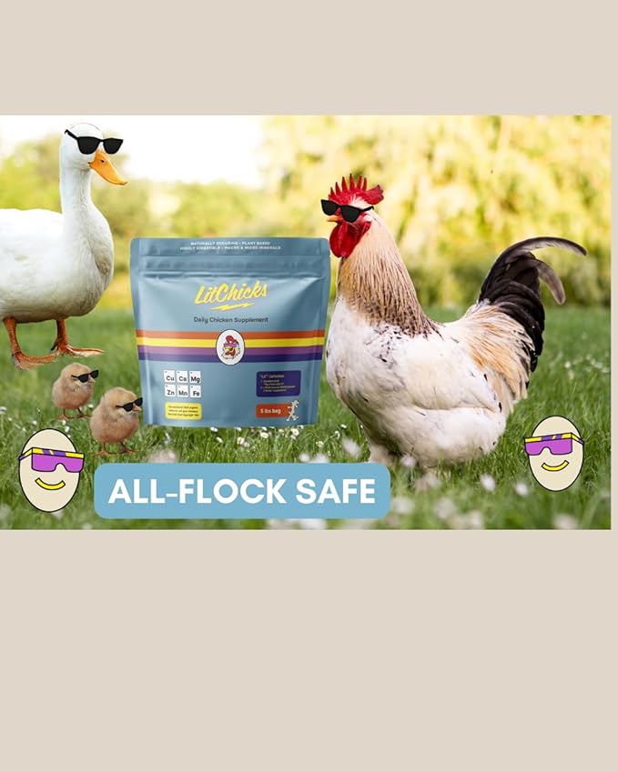 LitChicks’ Calcified Seaweed for Laying Chickens - Crushed Oyster Shell Alternative - Highly Digestible - Single Ingredient - Helps with Egg Laying & Flock Health.-VerdiqueGarden