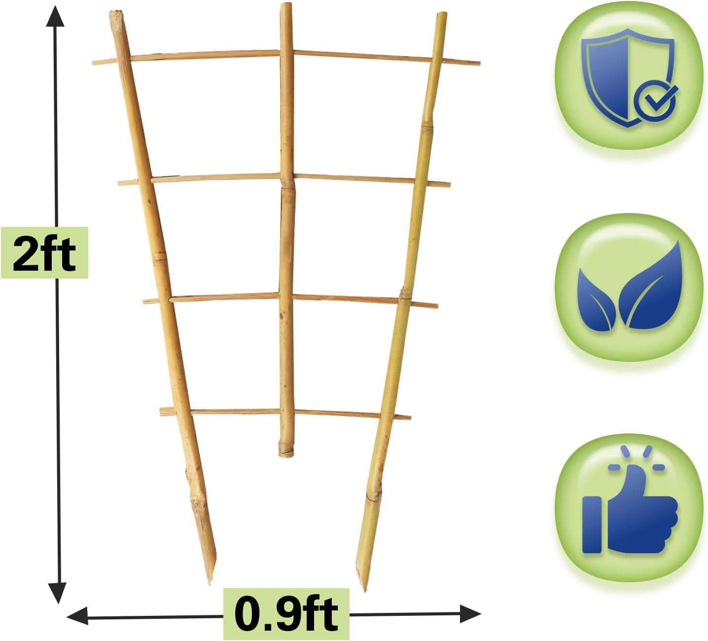 Bamboo Trellis 2FT 3 Pack, Plant Ladder Stakes 24 Inches, Natural Fan-Shaped Bamboo Trellis for Orchid Vines, Monarchs, Ivy and Other Plants Climbing, Help Plant Growth-VerdiqueGarden