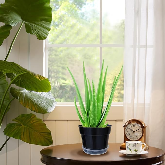 12 Pack Plant Pots, 8 Inch Plant Planter with Clear Saucer, Plastic Pots for Plants Indoor and Out Door Such as Strawberry, Herb and Flowers (Black)-VerdiqueGarden