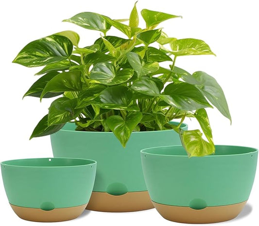 12 Inch Pots for Indoor Plants, Large Self Watering Planters with Drainage and Saucers, Plastic Outdoor Flower Pot, Set of 2, Green-VerdiqueGarden