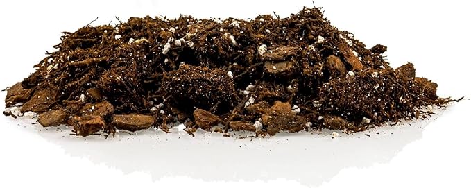 Premium Gardenera House Plant Potting Mix | Fern + New Zealand Bark + Perlite | Great for Pothos, Spider Plants, Montsera, Philodendron, English Ivy - 3 Quart Bag-VerdiqueGarden