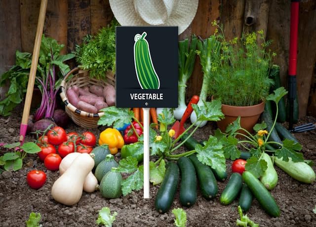 Eveokoki Aluminum Seed & Plant Labels - Plant Markes for Seedlings-Plant Tags for Pots - Garden Signs for Vegetable - Durable Markers for Plants Outdoor Waterproof - Garden Decor for Farmhouse-VerdiqueGarden