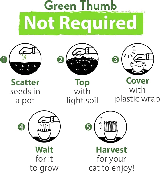 HOME GROWN 30,000+Cat Grass Seeds (6oz) 𝗡𝗢𝗡-𝗚𝗠𝗢 𝗨𝗦𝗔 Heirloom Barley & Oat Mix – Refill for Indoor Cat Grass Growing Kit – Safe Healthy Green Grass for Cats – Pet Grass for Eating & Digestion-VerdiqueGarden