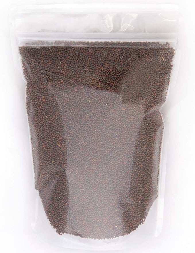 Broccoli Seeds for Sprouting & Microgreens | Waltham 29 Variety | Non GMO & Heirloom Seeds | Bulk 1 LB (16 oz) Resealable Bag | Rainbow Heirloom Seed Co.-VerdiqueGarden