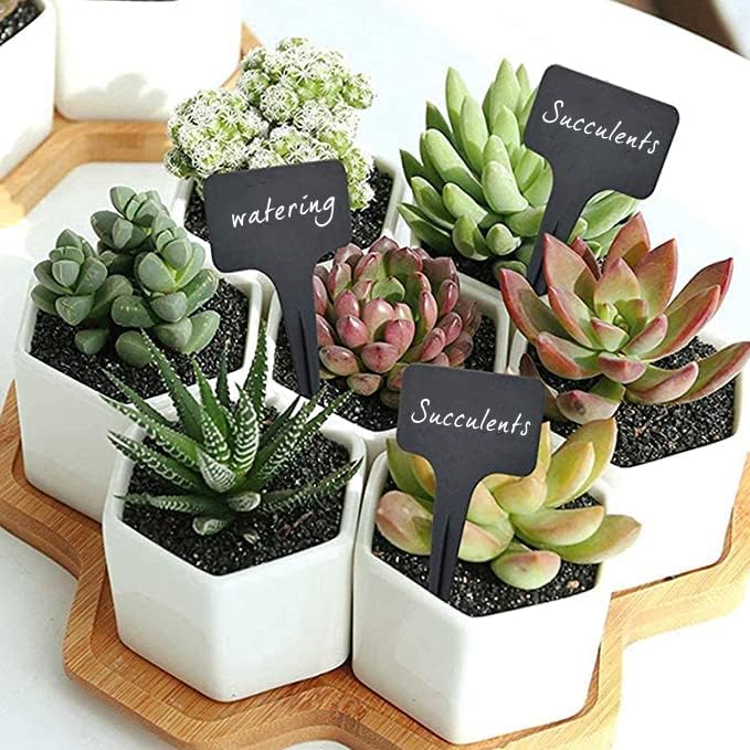 100 Pcs Waterproof Black Durable Plastic Plant Outdoor Garden Labels Nursery Markers T-Type Thick Tags Re-Usable for Vegetables Seedlings-VerdiqueGarden