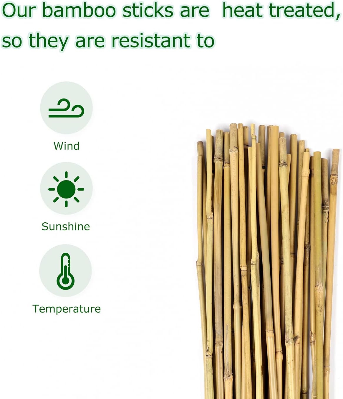 40pcs Natural Bamboo Sticks for Indoor and Outdoor Plants, 16 Inch Plant Support Stakes for Tomato, Beans, Potted Plants and Vegetable-VerdiqueGarden