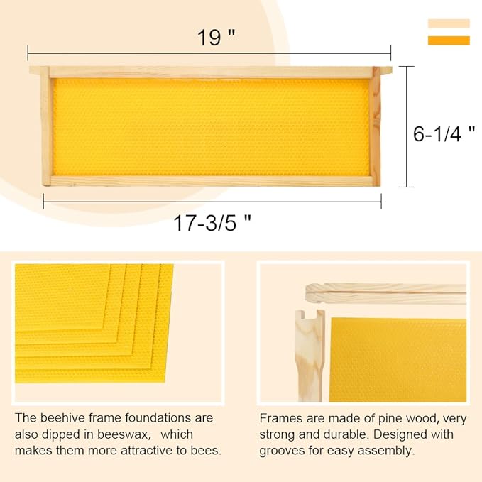 10 Frame Bee Hive Box, Langstroth Medium Super Bee Box Dipped in 100% Beeswax Include Beehive Frames and Waxed Foundation Sheets (Unassembled)-VerdiqueGarden