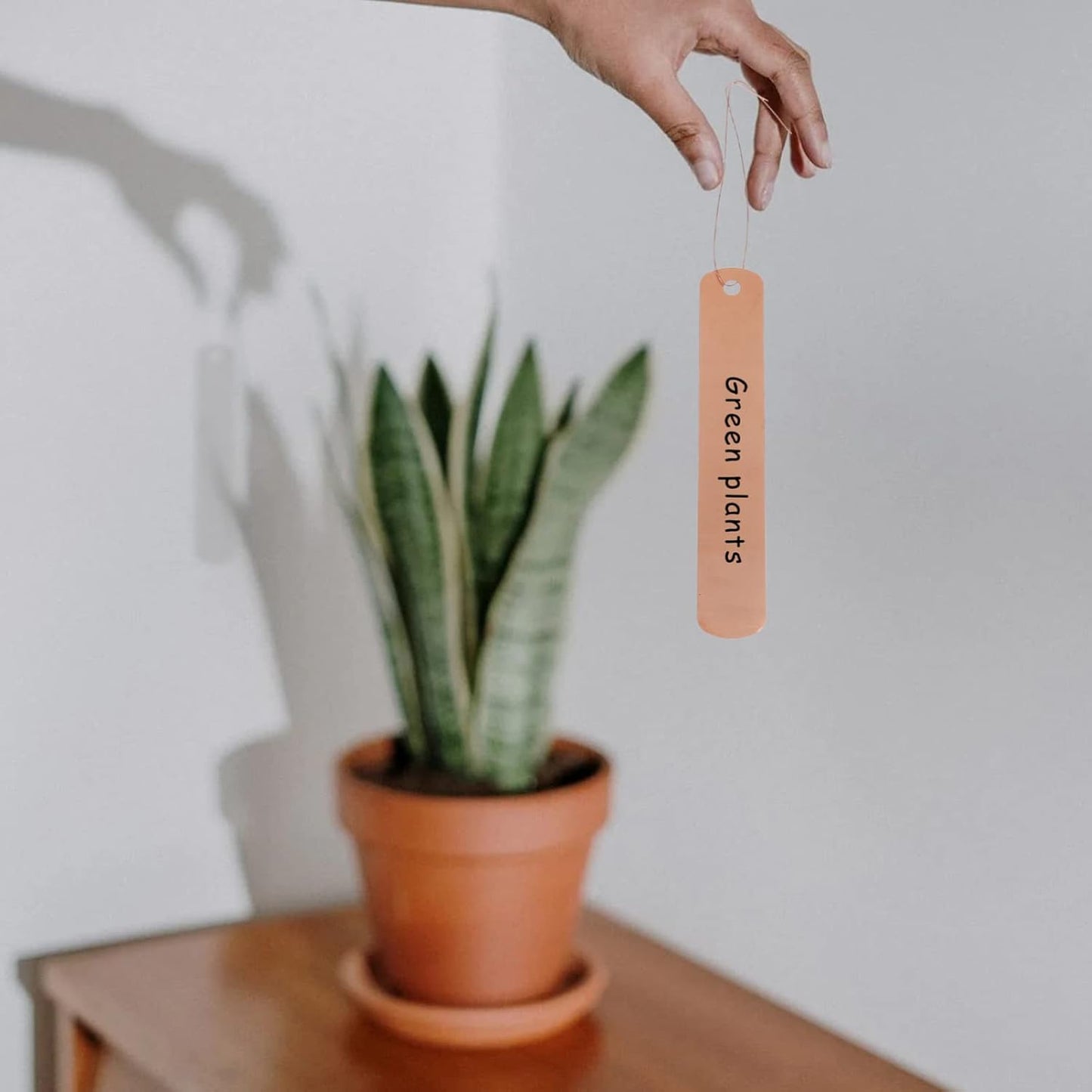 KESYOO Copper Plant Tags Reusable Garden Labels Hanging Metal Plant Tag with Wires for Flower Bed Balcony Pots Planters - 4.72 X 0.78 Inches-VerdiqueGarden