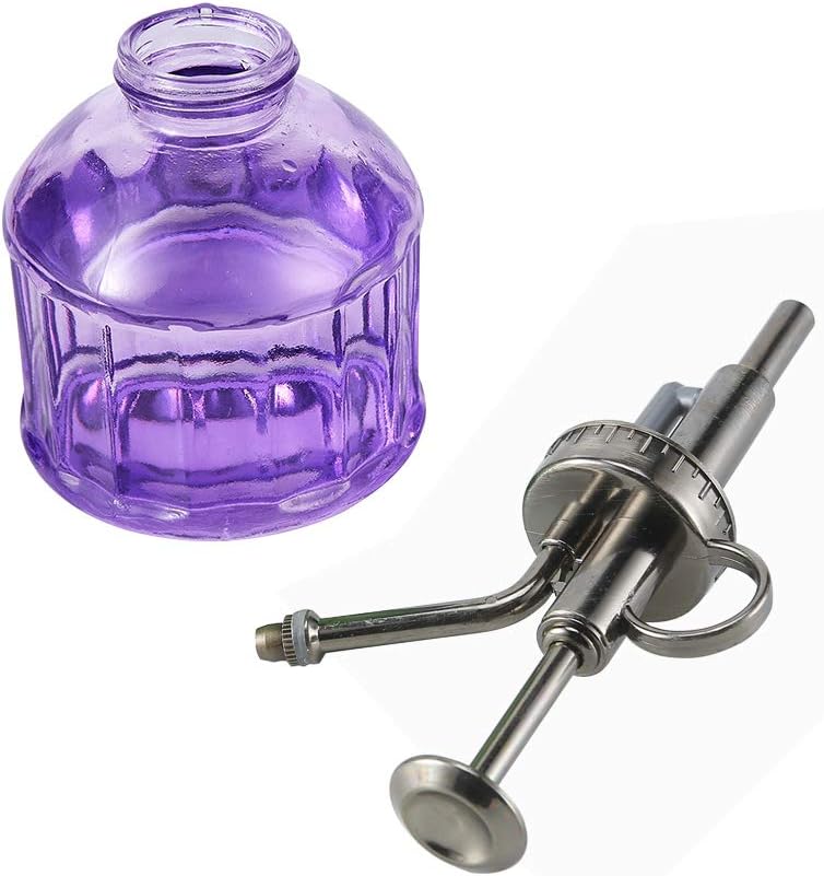 Glass Plant Mister Spray Bottle, Vintage Plant Spritzer Sprayer Mister, Succulent Watering Bottle with Top Pump, Small Glass Watering Can for Indoor Outdoor Houseplant - Purple-VerdiqueGarden