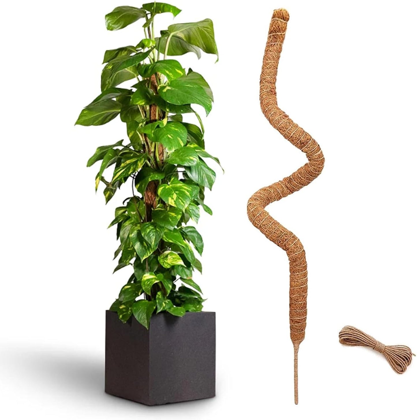 48 Inch Bendable Moss Pole for Plants Monstera, Coir Plant Pole Stick, Support Stake for Climbing Plants Indoor, Pothos, Philodendron, Moss Pole kit, Plant Support Stake for Plants Indoor-VerdiqueGarden