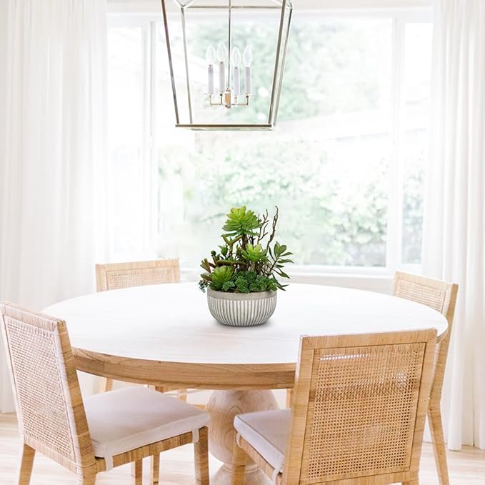 DILATATA Small Faux Plant Assorted Fake Succulents Plants Faux Succulents Arrangement Cement Potted Desk Plants Small Fake Plants for Home Table Office Bathroom Shelf Living Room Decor-VerdiqueGarden