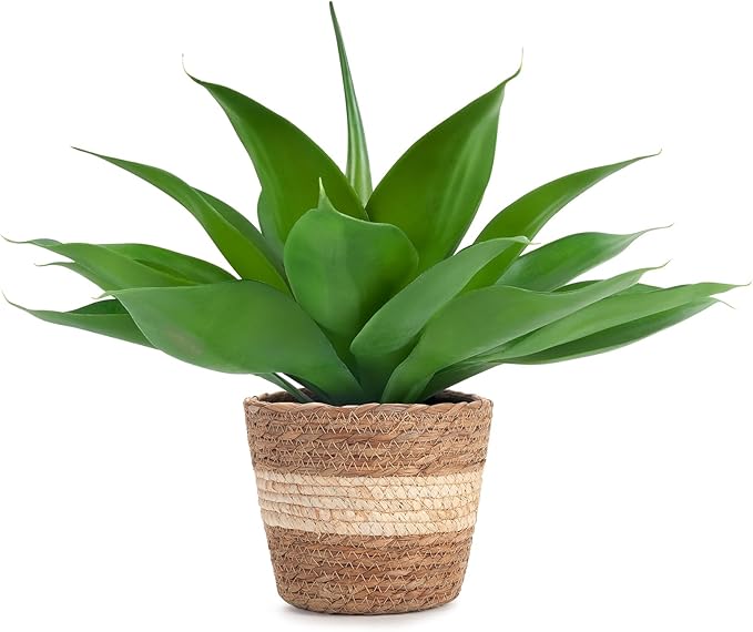 Velener Fake Agave with Rattan Pot, Artificial Plant Outdoor Agave - Fake Sucuulents Plants for Indoor and Outdoor Decor(16 Inch)-VerdiqueGarden