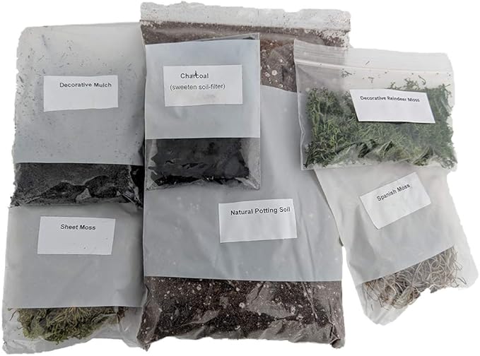 Hirt's Gardens Terrarium Kit - Create Your Own Living Terrarium-VerdiqueGarden