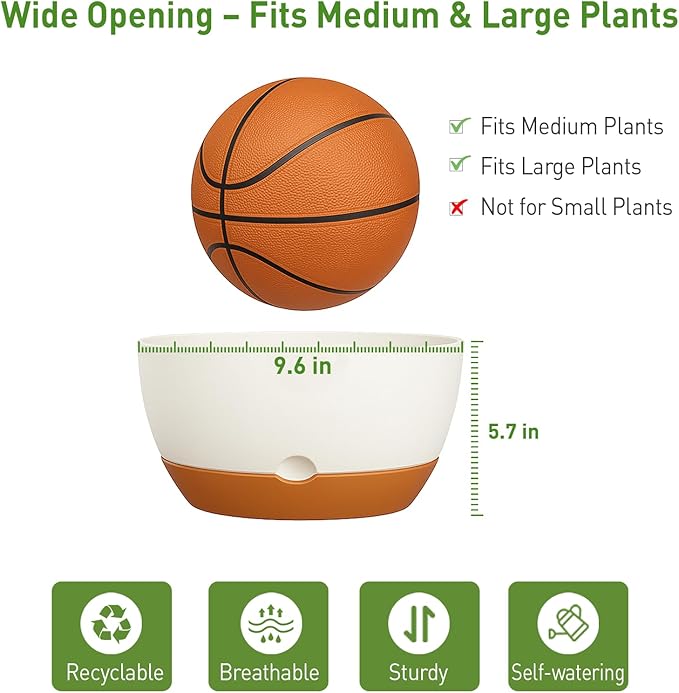 10 Inch Hanging Planters for Indoor & Outdoor Plants (2 Pack) - Self-Watering & Drainage Flower Pots with 2 Kinds of Plant Hangers for Home Decor & Garden (White, 10 in)-VerdiqueGarden