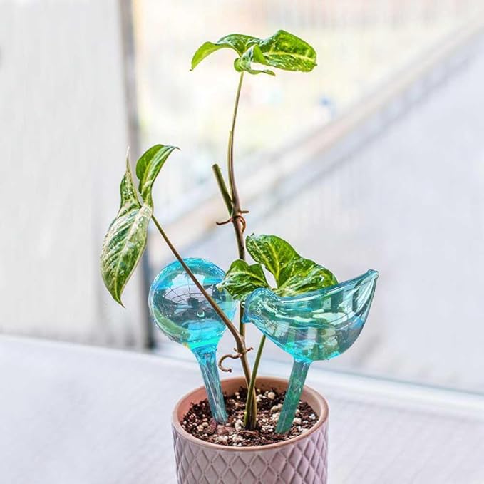 Plant Self Watering Globes - 10pcs Flower Self Watering Planter Insert, Plastic Self Watering Bulbs Auto for Plants, Garden Water Device Drippers System for Travel Business Trip Plant Self-Watering-VerdiqueGarden