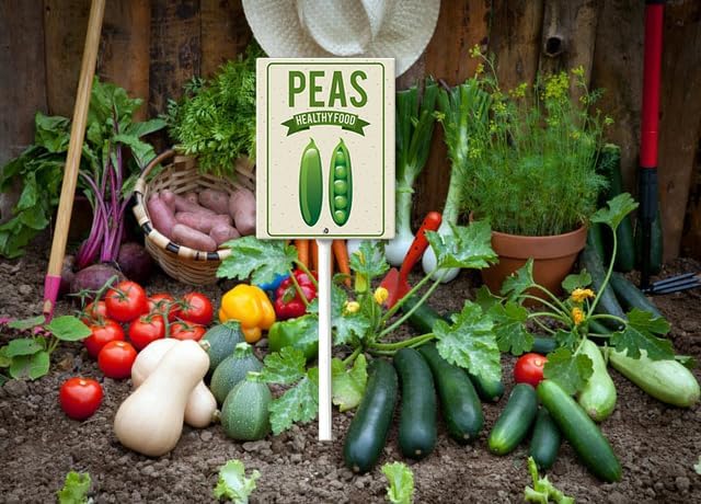 Eveokoki Aluminum Seed & Plant Labels - Plant Markes for Seedlings-Plant Tags for Pots - Garden Signs for Vegetable - Durable Markers for Plants Outdoor Waterproof - Garden Decor for Farmhouse-VerdiqueGarden