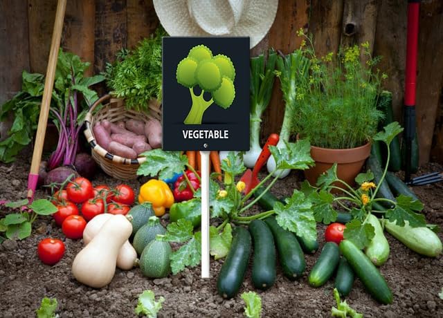 Eveokoki Aluminum Seed & Plant Labels - Plant Markes for Seedlings-Plant Tags for Pots - Garden Signs for Vegetable - Durable Markers for Plants Outdoor Waterproof - Garden Decor for Farmhouse-VerdiqueGarden