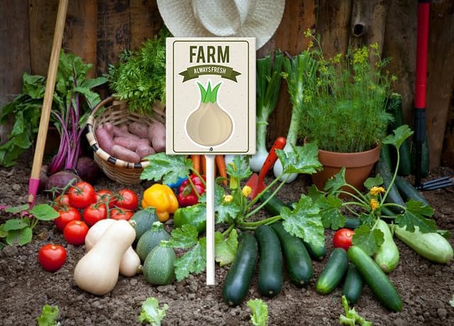 Eveokoki Aluminum Seed & Plant Labels - Plant Markes for Seedlings-Plant Tags for Pots - Garden Signs for Vegetable - Durable Markers for Plants Outdoor Waterproof - Garden Decor for Farmhouse-VerdiqueGarden