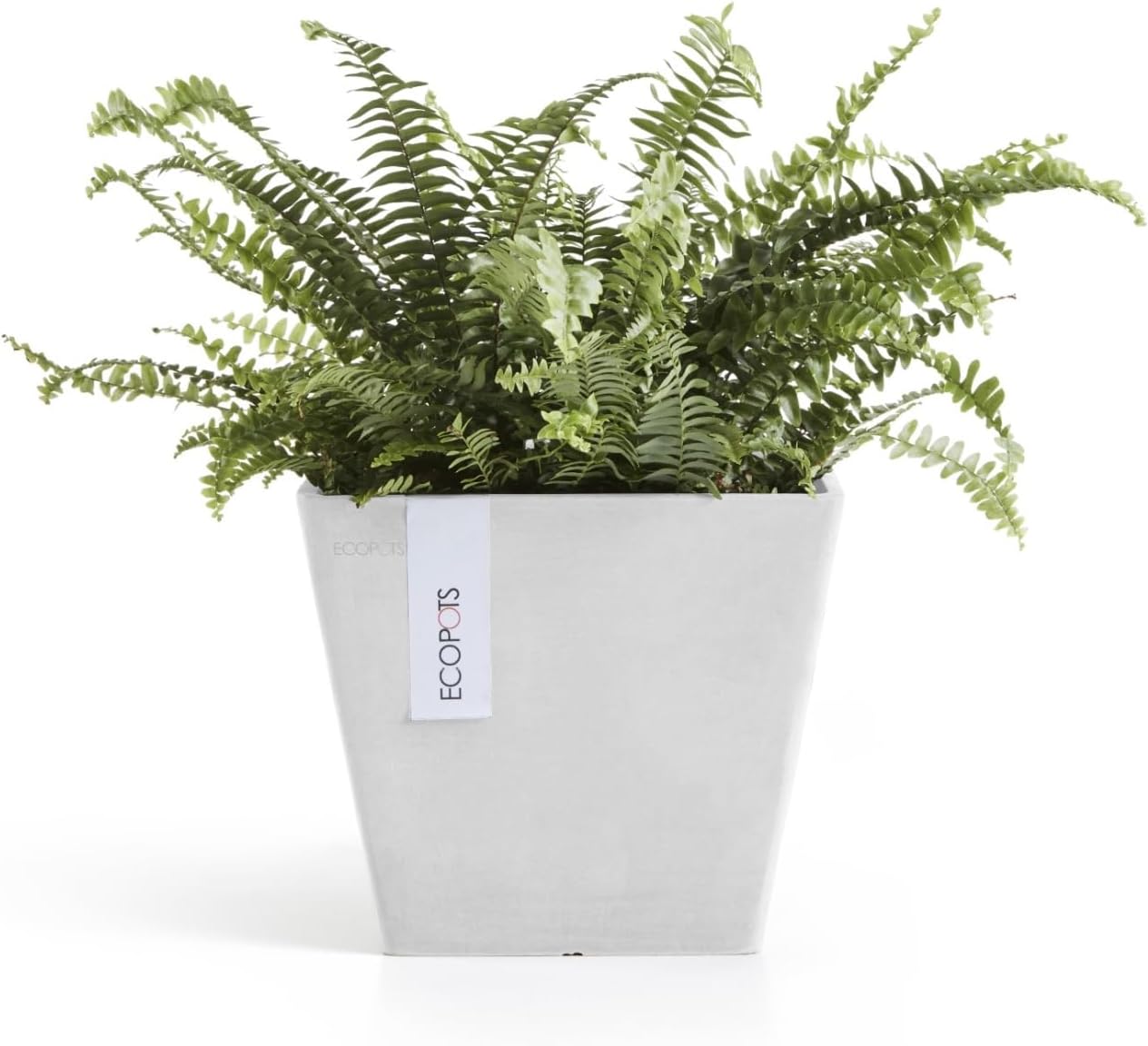 Ecopots Rotterdam Durable Modern Square Indoor/Outdoor Recycled-Based Composite Flower Planter, Pure White, 8"-VerdiqueGarden