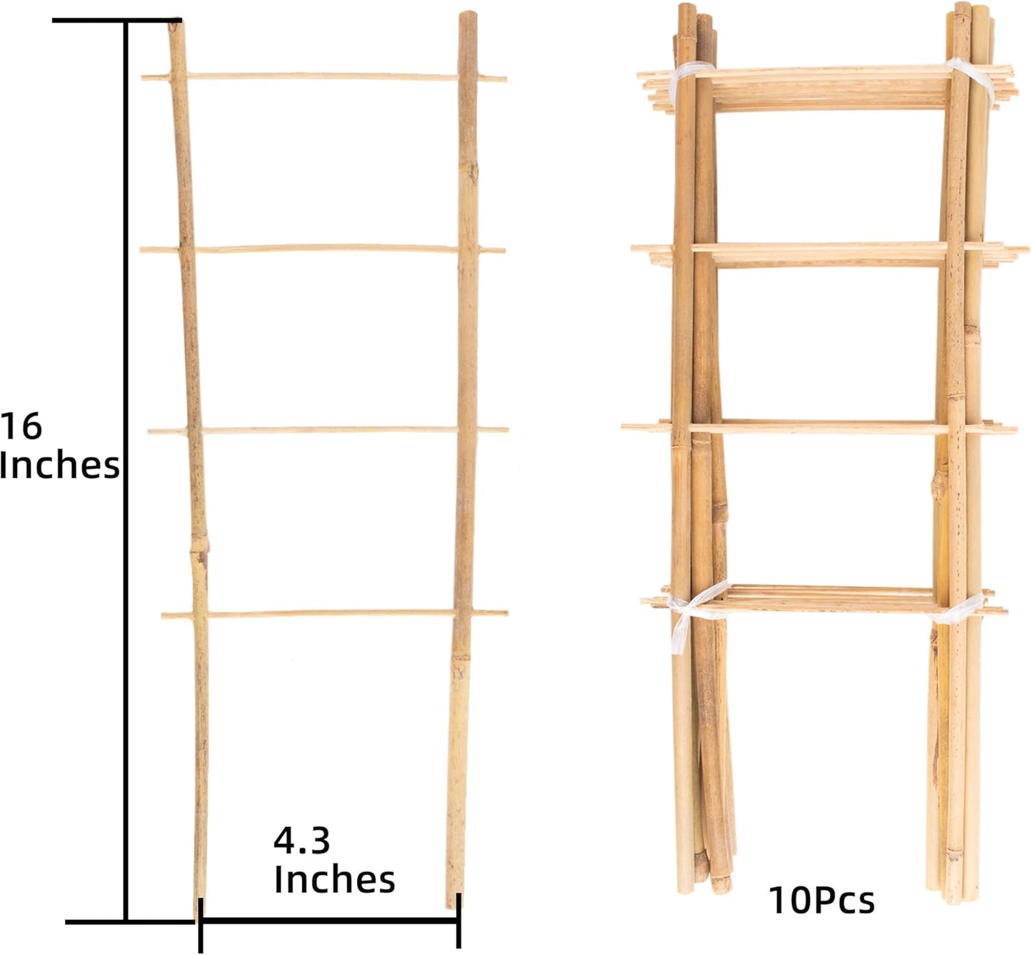 Avalution 10 Pack Natural Bamboo Trellis for Climbing Plants 16" Outdoor Garden Ladder Trellis, Fan -Shaped Plant Support Trellis for Potted Plant-VerdiqueGarden