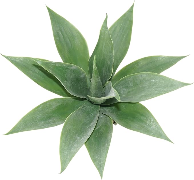 Artificial Potted Plants, 13.8" Artificial Succulent Fake Aloe, Large Faux Aloe Plant in Pot for Home Office Room Badroom Garden Decor (Grey)-VerdiqueGarden