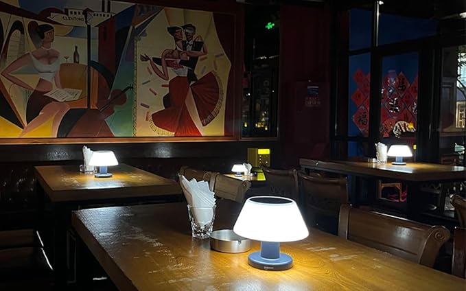 Solar Table Lamp Rechargeable Cordless - 4 Modes USB/Solar Charging Indoor Outdoor, IP54 Waterproof, 4000K Neutral White Light for Living Room/Garden/Study/Patio-VerdiqueGarden