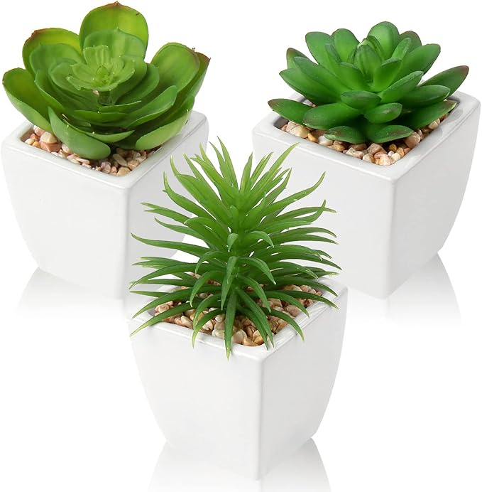 Hollyone Succulents Plants Artificial 3Pcs Small Fake Succulents in Pots Faux Plastic Potted Plants with White Ceramic Pot for Home Decor Classroom Office Bathroom Shelf Indoor & Outdoor Decorations-VerdiqueGarden
