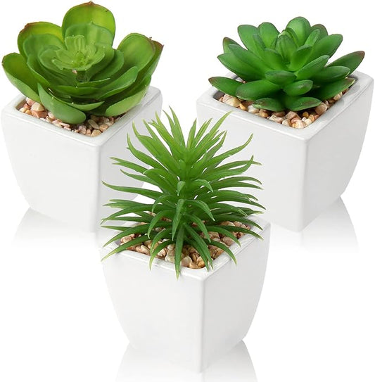 Hollyone Succulents Plants Artificial 3Pcs Small Fake Succulents in Pots Faux Plastic Potted Plants with White Ceramic Pot for Home Decor Classroom Office Bathroom Shelf Indoor & Outdoor Decorations-VerdiqueGarden