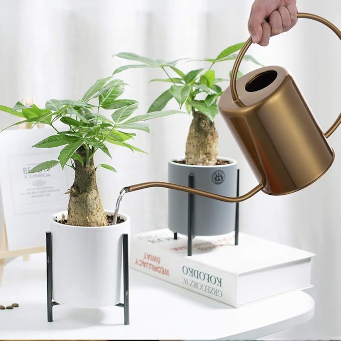 1/2 Gallon 68oz Long Spout Stainless Steel Gold Colored Watering Can for Indoor Plant Watering or Outdoor Gardening with 2 Removable Spray Spout for Flowers, Medium-VerdiqueGarden