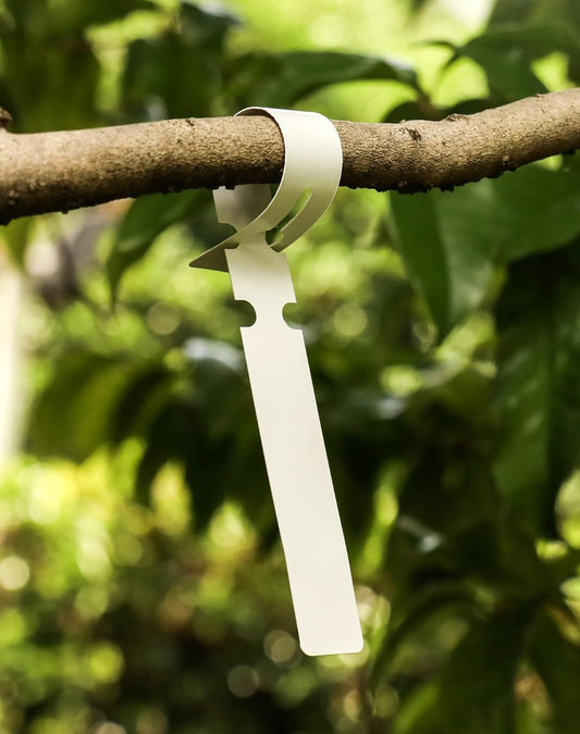 100Pcs White Plant Tags Wrap Around Tree Tags Markers, Removable,Adjustable Garden Labels 8.27"x0.8"-VerdiqueGarden
