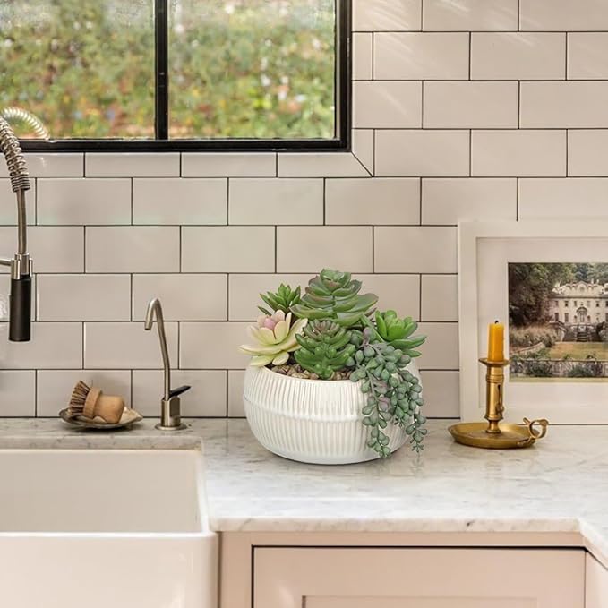 DILATATA Artificial Succulent Plants in Pot 5.5 Inch Fake Succulents Arrangement Potted Plant in White Ceramic Planter Bowl for Home Office Desk Shelf Living Room Bedroom Bathroom Decor-VerdiqueGarden