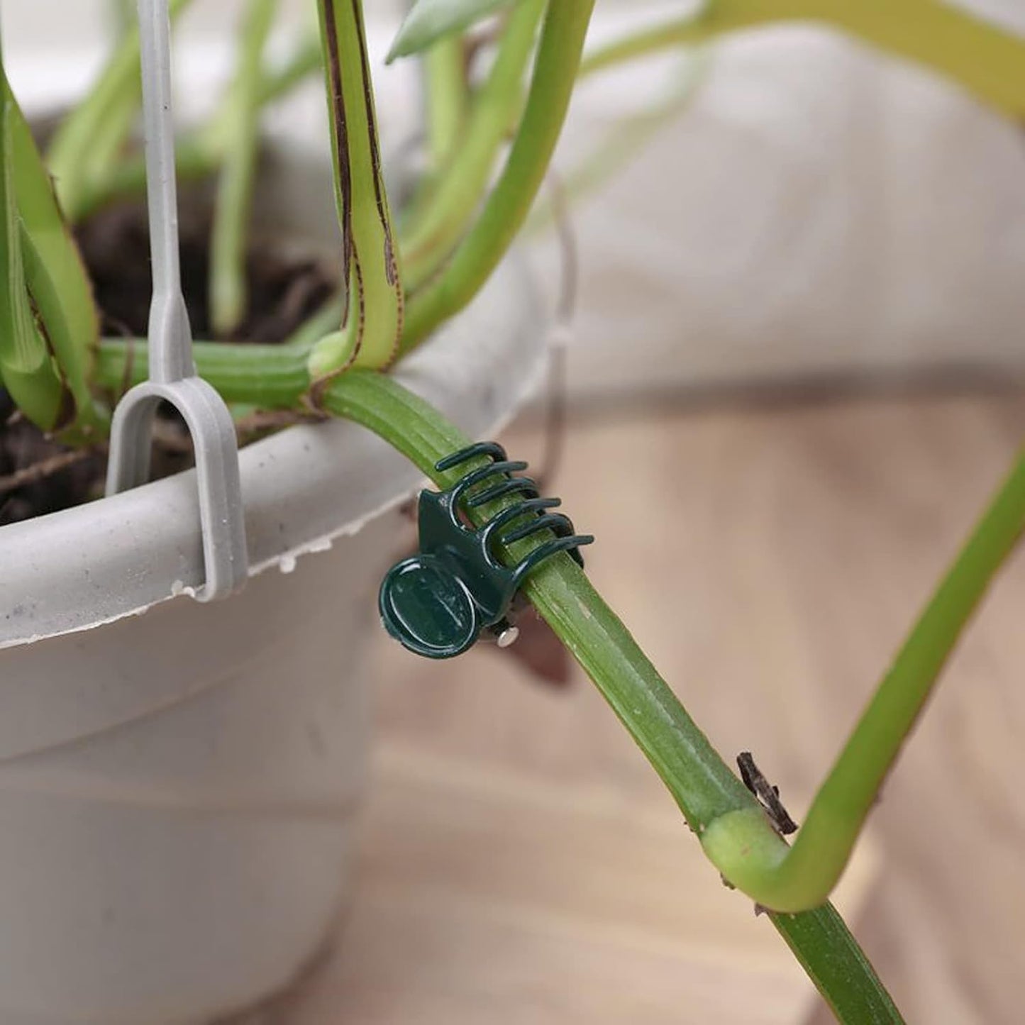 AccEncyc 100 Pcs Plant Clips Orchid Clips Plants Orchid Support Clips Flower Vine Clips for Supporting Stems Vines Stalks Climbing Plant Grow Upright-VerdiqueGarden