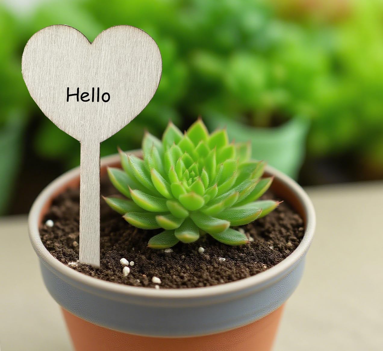 100 Pcs Wood Plant Labels, Natural Wooden Plant Marker Garden Sign Tags, T-Type Garden Markers for Succulents, Herbs, Seedlings, Potted, Flowers, Vegetables (Heart)-VerdiqueGarden