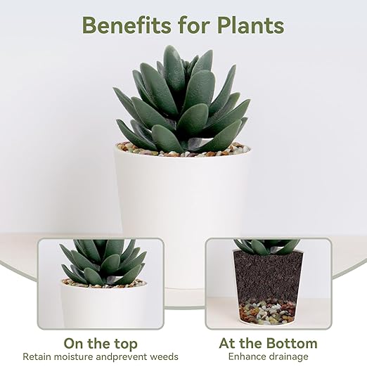 10 lbs Pebbles for Indoor Plants, Succulent Rocks, 3/8" Polished Pebbles for Bamboo, Vase, Terrarium, Natural Decorative Small River Rocks for Crafts, Cactus, Outdoor Garden Landscaping-VerdiqueGarden