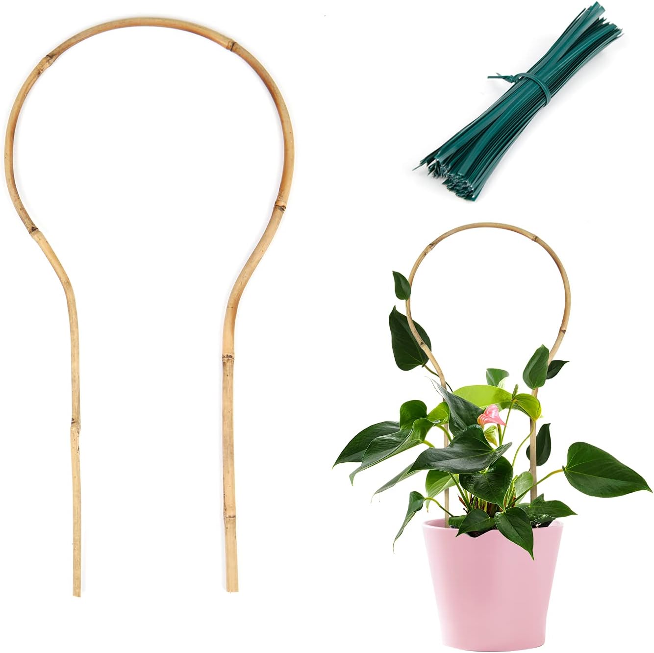Plant Trellis Indoor 16in, Loop-Shaped Bamboo Trellis - 3 Pack for Climbing Plants, Hoya, Potted Plants-VerdiqueGarden