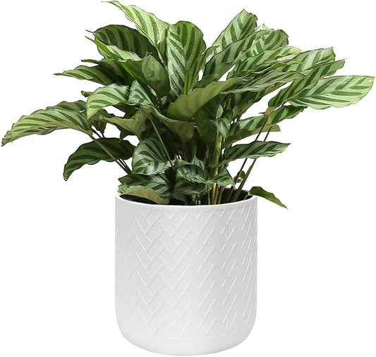 12 Inch Flower Pot Without Bracket with Drainage Holes Suitable for Indoor and Outdoor Decorative Planting (White Rectangle, 12 Inches)-VerdiqueGarden