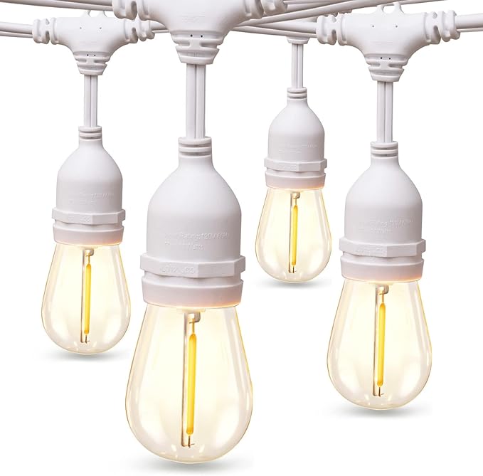 addlon LED Outdoor String Lights 48FT with Dimmable Edison Vintage Shatterproof Bulbs and Commercial Grade Weatherproof Strand - ETL Listed Heavy-Duty Decorative Cafe, Patio, Market Light White-VerdiqueGarden