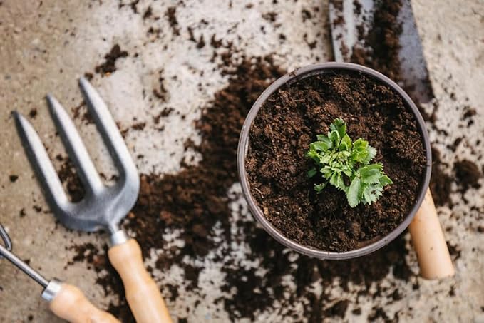 Premium Celery Potting Soil Mix - Optimal Nutrient-Rich Blend for Thriving and Crisp Celery Plants - 4 Quart-VerdiqueGarden