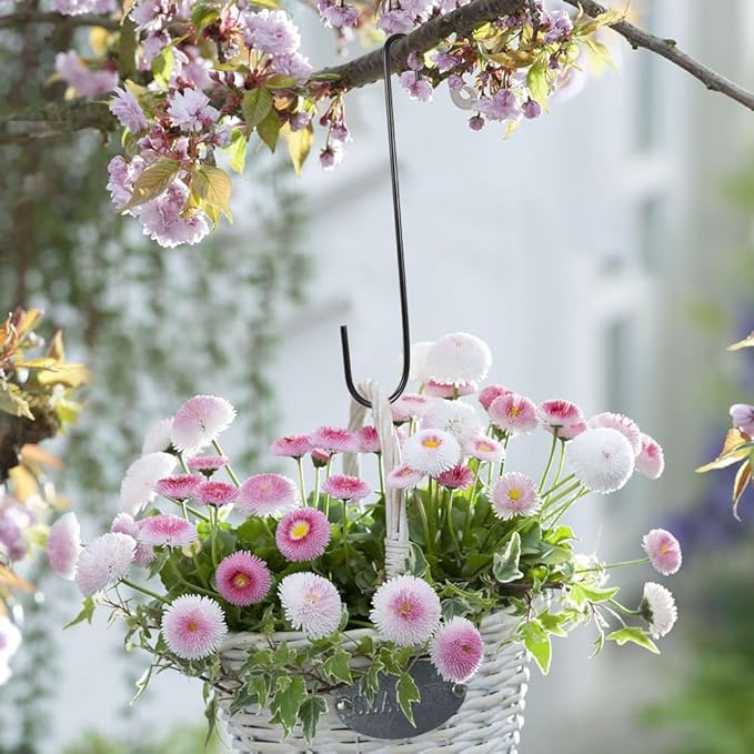 Vindar 3 Pack 12 Inches Bird Feeder Hook Extra Large S Hooks Heavy Duty Hooks Hangers for Tree Branch, Bird Feeder, Hummingbirds Feeders, Bird House, Office, Wind Chimes, Lanterns, Gardening Tools-VerdiqueGarden