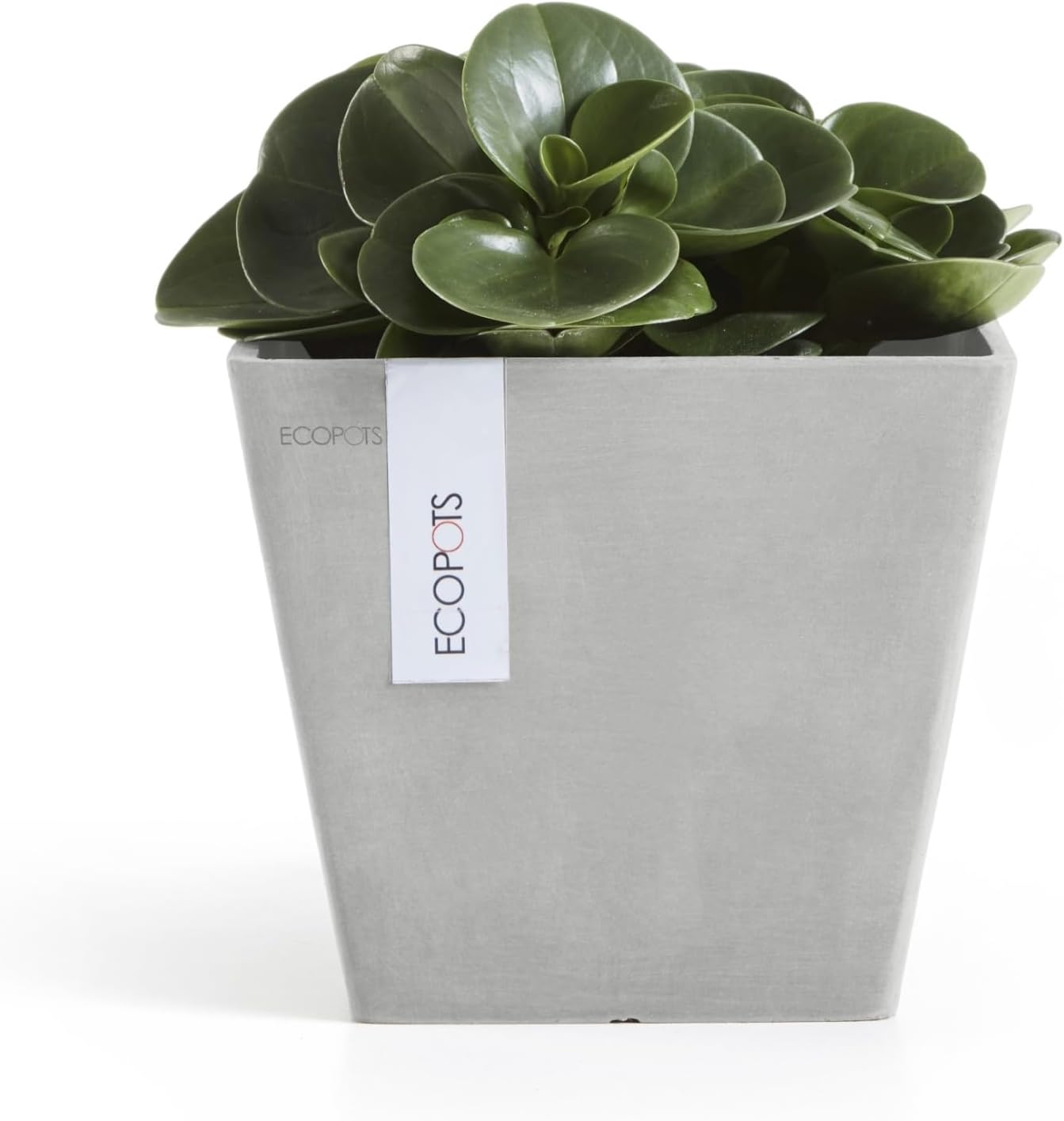 Ecopots Rotterdam Durable Modern Square Indoor/Outdoor Recycled-Based Composite Flower Planter, White Grey, 8"-VerdiqueGarden
